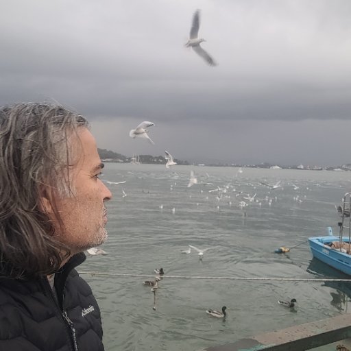 YÜKSEL UYSAL
