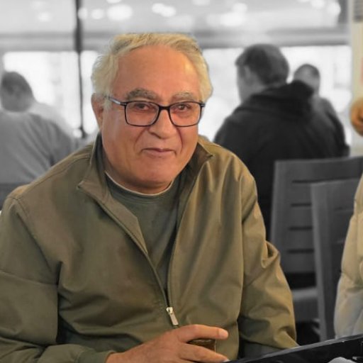 AVNI ARSLAN